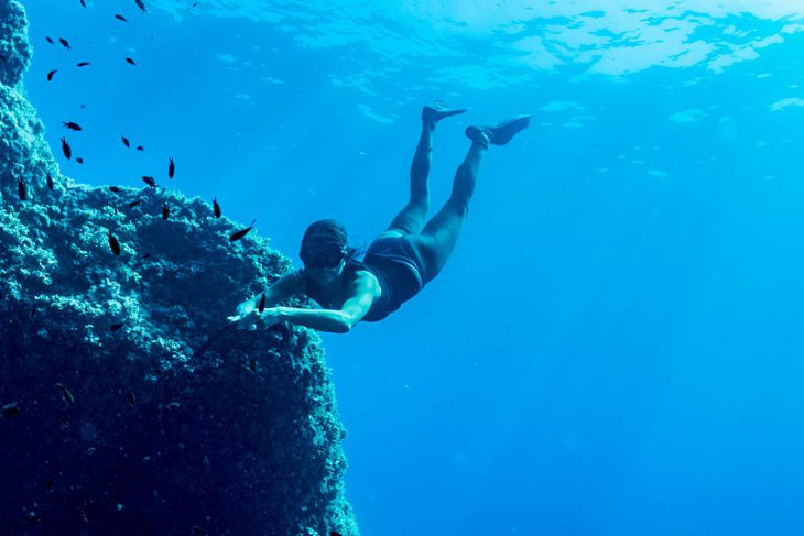 Snorkeling Afternoon — Marine Biologist Guide