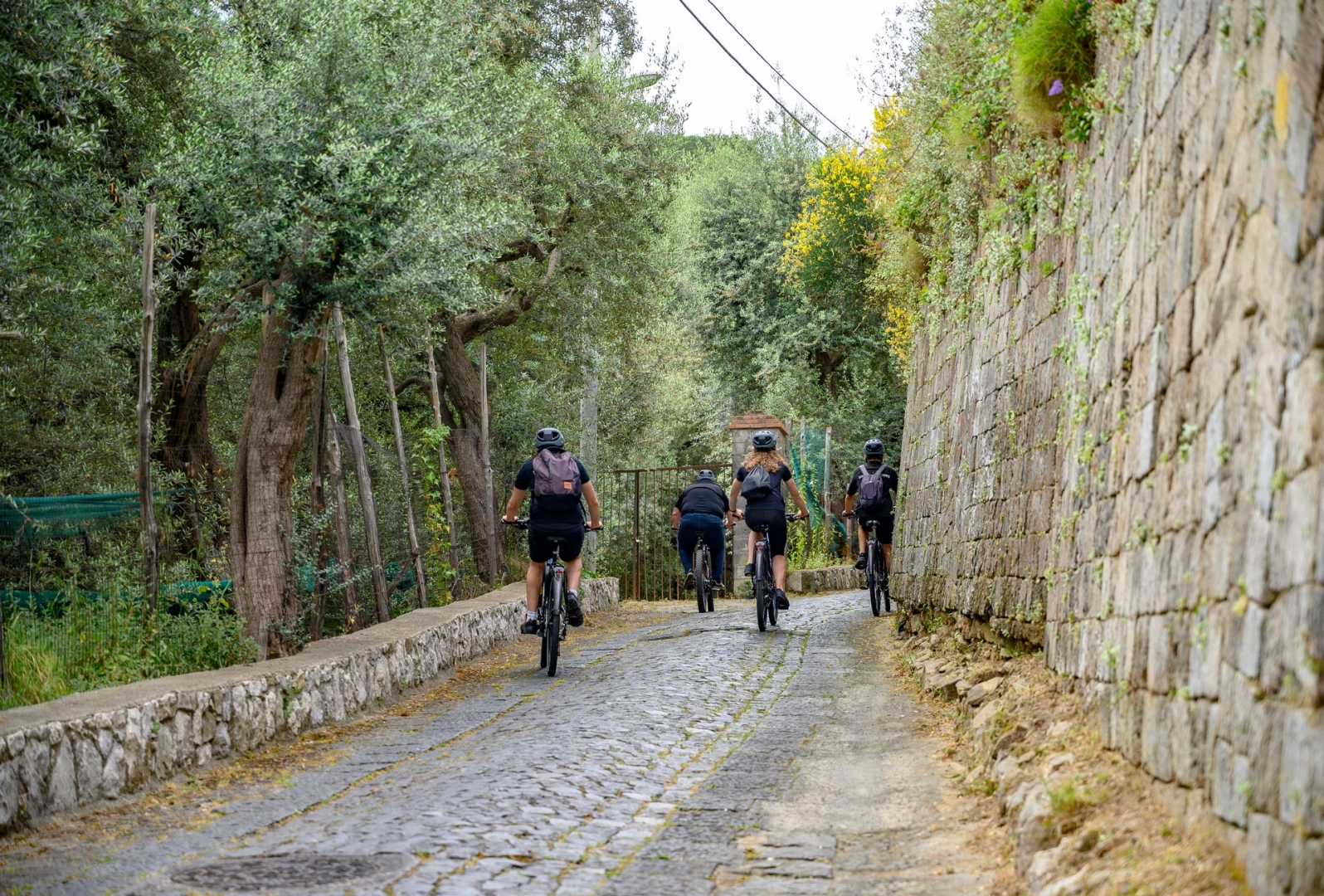 I migliori tour in e-bike a Sorrento 2026 — Prezzi, itinerari e guida — photo 5